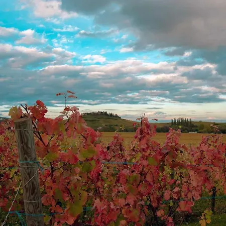 Hébergement de vacances Le B. Vintage *