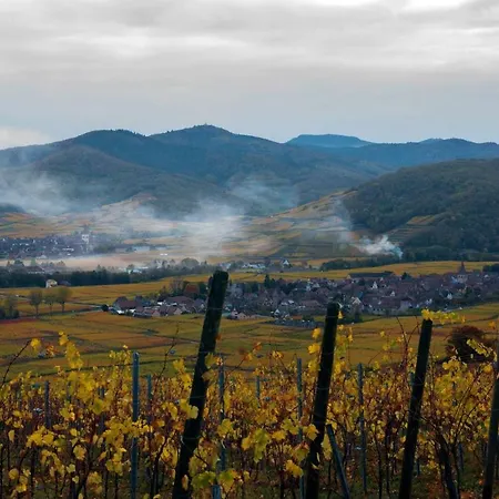 Le B. Vintage * Riquewihr